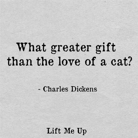 Meet your Posher, Anna - Picture 5 of 8